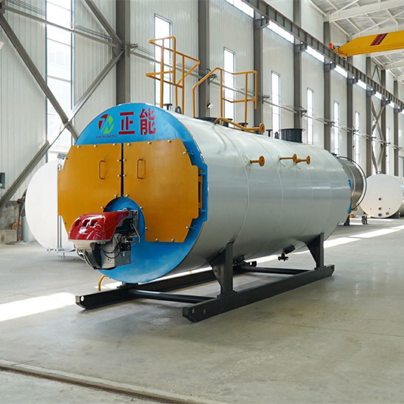 دیگ بخار متراکم WNS